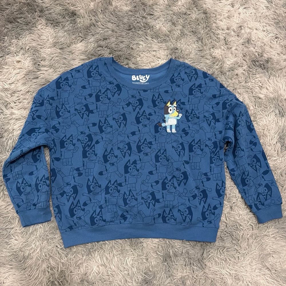BLUEY Print Graphic XL Embroidered Sweatshirt Women’s Hybrid Apparel Blue Bingo